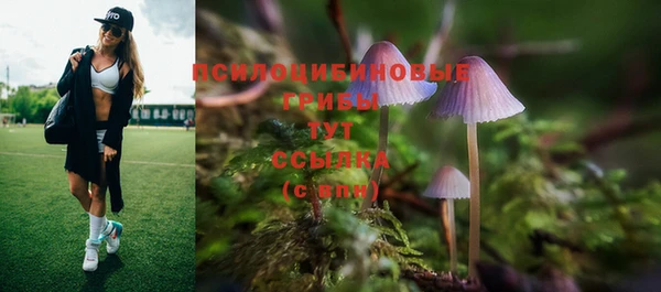 прущая мука Волоколамск