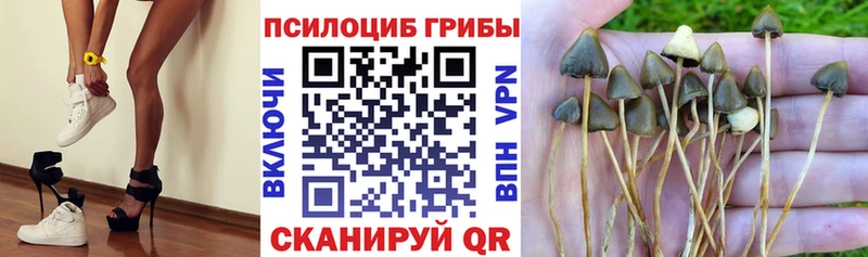 Галлюциногенные грибы прущие грибы  Сургут 